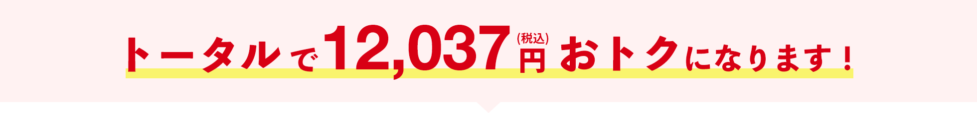 トータルで12,037円(税込）おトクになります！